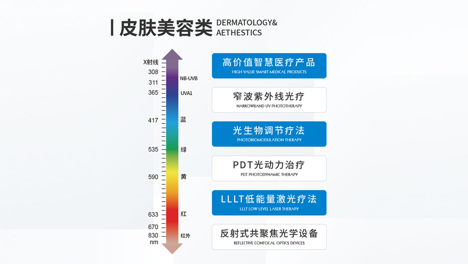 皮膚美容類